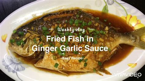 Fried Fish In Ginger Garlic Sauce Easy Recipe Daily Mitchii Youtube