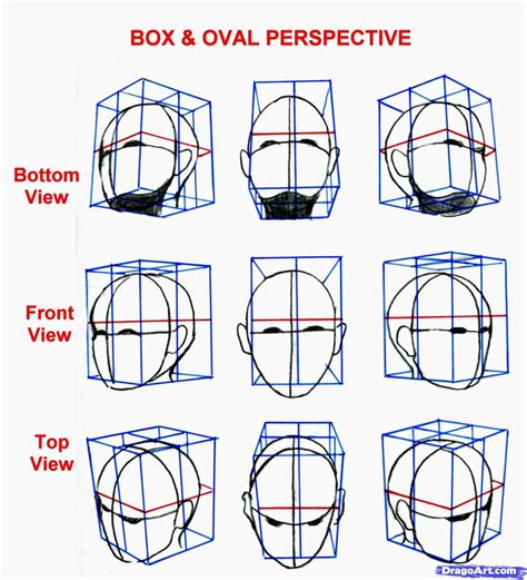 Box and Oval Perspective | Drawing the human head, Human figure drawing ...