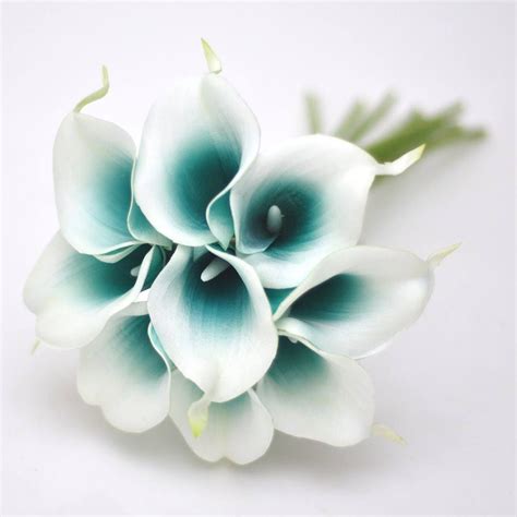 Real Touch Teal Picasso Calla Lilies For Bridal Bouquets Etsy