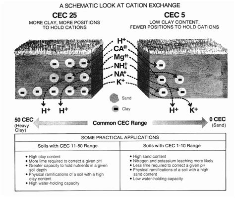 Cation Exchange Capacity Cec