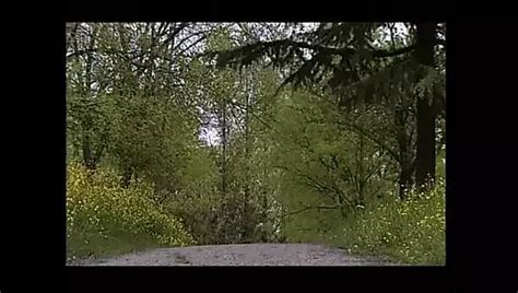 Francesco Malcom Porn Videos Porn Star Sex Scenes XHamster