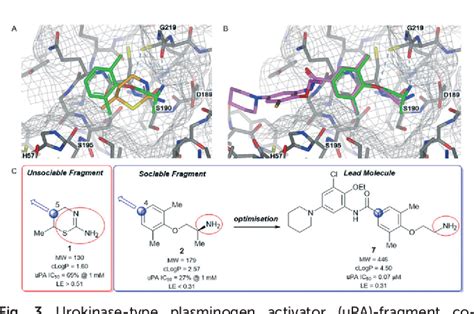 PDF Fragment Based Drug Discovery Opportunities For Organic