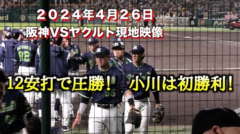 12安打で圧勝！小川は投打で大活躍！〜2024年4月26日阪神vsヤクルト Youtube