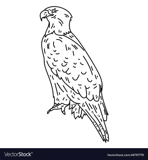 Eagle Wing Beak Talon Line Royalty Free Vector Image