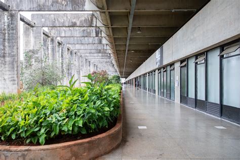 Superquadras And University Campus Brasilia Insight