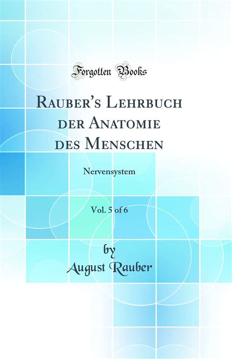 Rauber S Lehrbuch Der Anatomie Des Menschen Vol Of Nervensystem