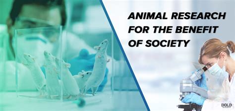 Animal Research: Indispensable or Inhumane? - Bold Business