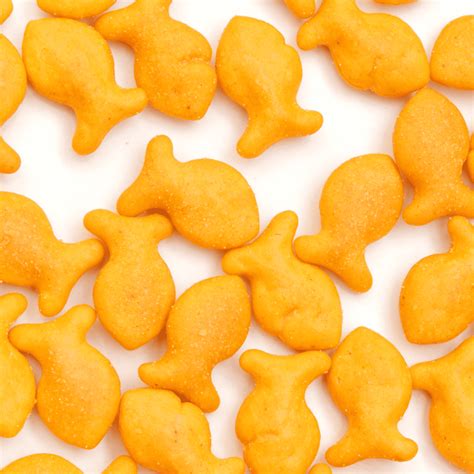 Vibrant Goldfish Crackers Clipart Collection | Free Download