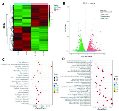 Rna Seq Gene Expression Analyses Of U−2 Os Cells Withwithout Ds−1 Download Scientific Diagram