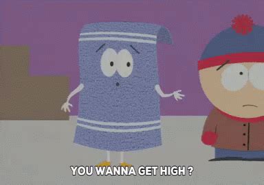 Towelie Wanna Get High Towelie South Park Discover Share GIFs