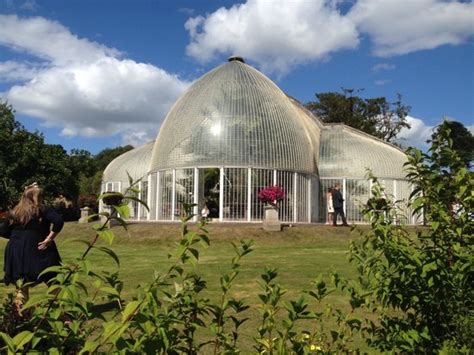 Bicton Botanical Gardens Devon | Fasci Garden