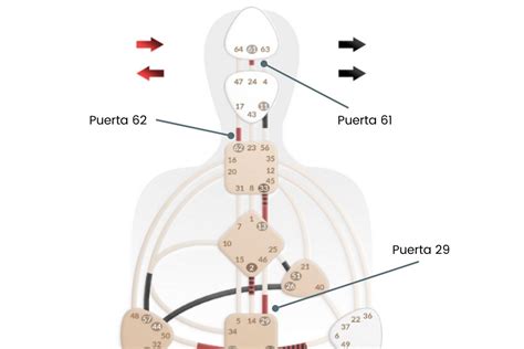 Guía Human Design Español Calcula tu Diseño Humano gratis