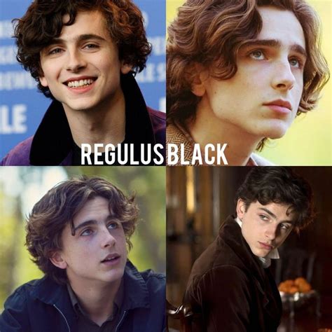 Timothee Chalamet as Regulus Black | Regulus black, Harry potter ...