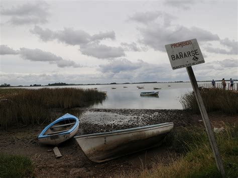 Alertas Roja Y Naranja Por La Presencia De Cianobacterias En Lagunas De