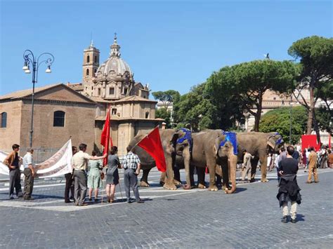 Elefanti Ai Fori Imperiali Per Il Film Il Sole Dell Avvenire Di Nanni