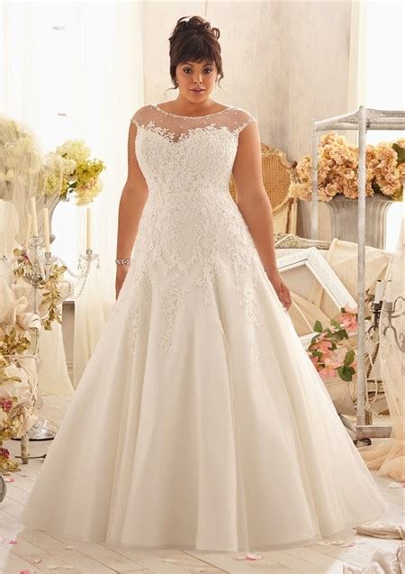 Princess A Line Bateau Illusion Neckline Cap Sleeve Organza Lace Plus