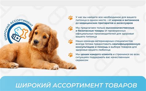 Стоп-Цистит Био суспензия для кошек, 30 мл. - купить с доставкой по ...