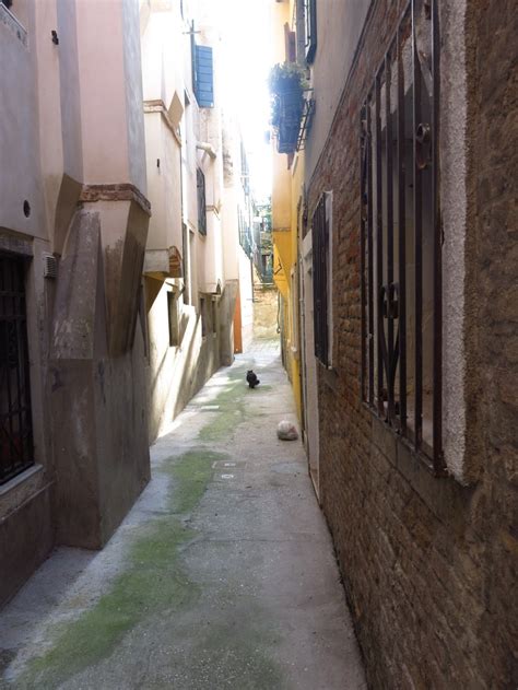 Venezia Ti Amo Ramo Primo De Le Erbe CANNAREGIO