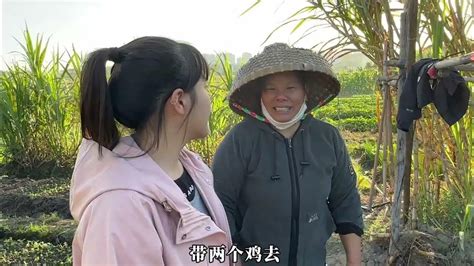 小芬邀请男友父母去东莞家里玩，学长爸妈好紧张，赶紧去拔菜准备大沈学长 Youtube