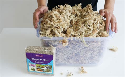 Kapecute 5oz Sphagnum Moss Perfect For Plant Propagation Great Orchid