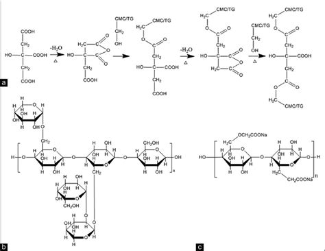 Possible Cross Linking Reaction Between Citric Acid Tamarind Gum Tg Download Scientific