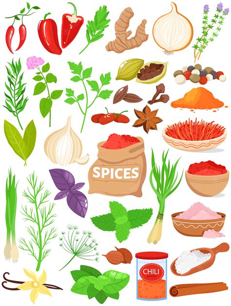 Premium Vector Spices Herbs Vector Illustration Set