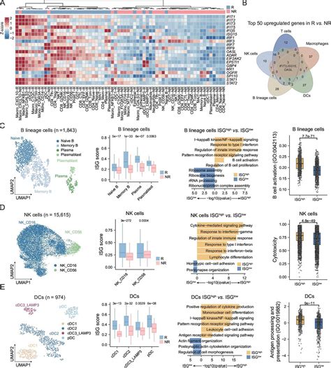 Integrated Single Cell Transcriptome And Tcr Profiles Of Hepatocellular