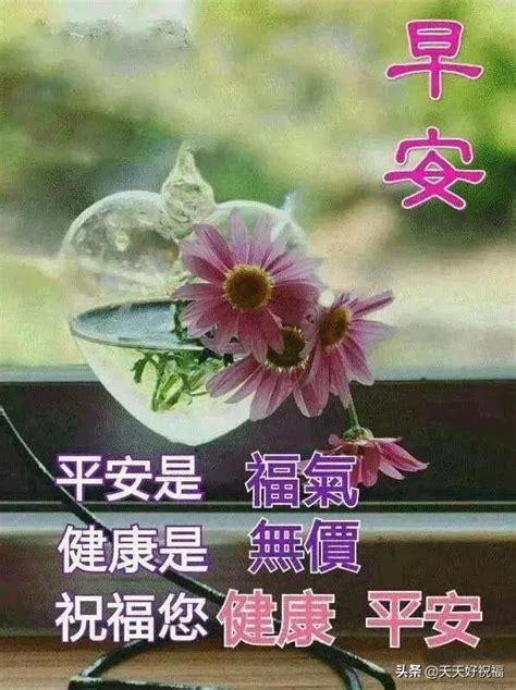 2019清早最新早上好動態表情圖片祝福語 早晨最美的早上好祝福語 每日頭條