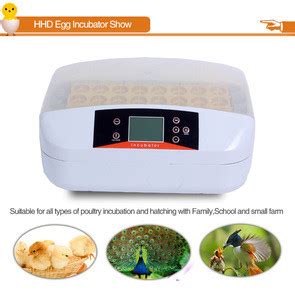 Buy Hhd High Hatching Rate 32 Poultry Chicken Egg Incubator In Pakistan