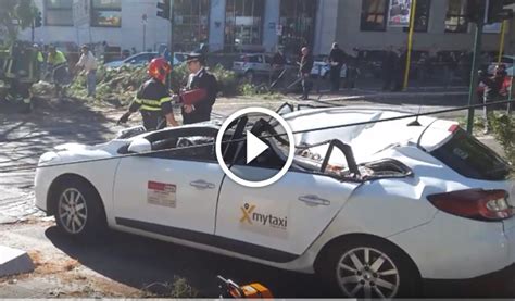 Roma Albero Cade Su Un Taxi E Lo Distrugge Nuovo VIDEO Esclusivo