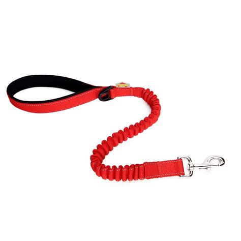 Laisse Lastique R Fl Chissante Extensible Et Robuste Pour Animaux De