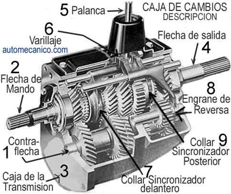 Partes De La Caja De Cambios Manual