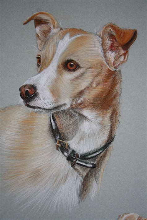 Pastel Portrait Animal Art Wildlife Paintings Pet Portraits