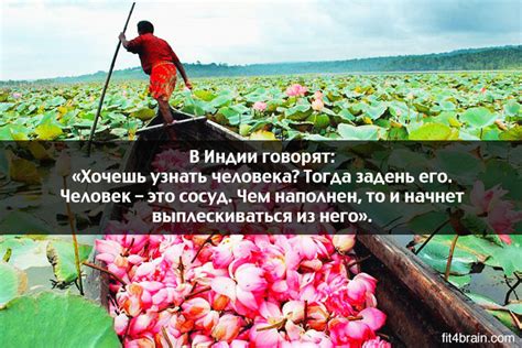 Одной фразой