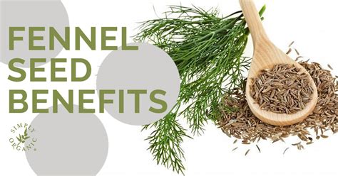 FENNEL SEED OIL BENEFITS: The Beauty Hack to Healthy Hair - Simply Organics