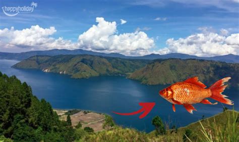 Asal Usul Danau Toba Dan Daya Tarik Wisatanya Happy Holiday