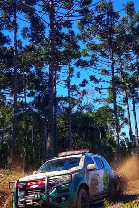 Batalhão de Polícia Ambiental aplicou R 51 milhões em multas em 2021