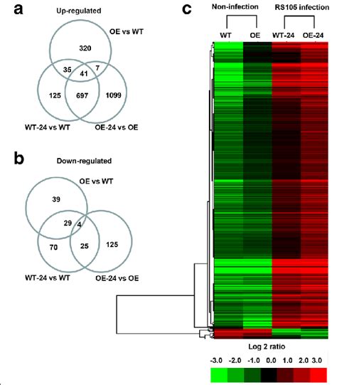 Gene Expression Profiling By Rna Seq A Statistics For Upregulated