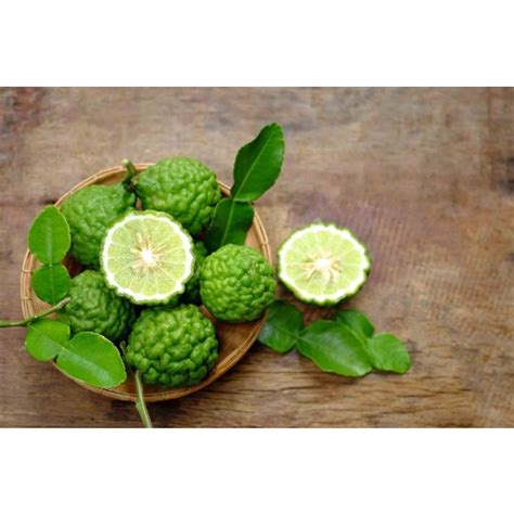 Jual Daun Jeruk Purut Non Pestisida Kaffir Lime Leaf Shopee Indonesia