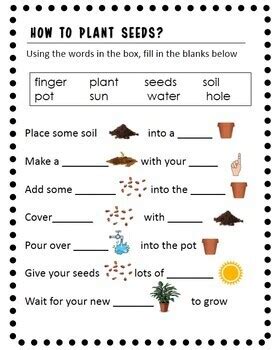 Plant Parts Needs Differentiated Worksheets Google Slides Ms