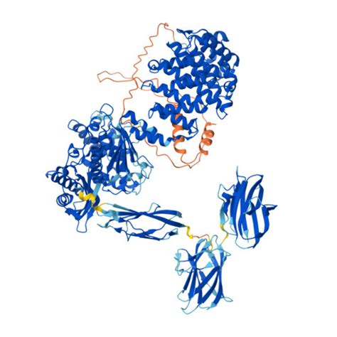 RCSB PDB AF AFQ9X721F1 Computed Structure Model Of Collagenase ColG