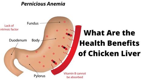 What Are The Health Benefits Of Chicken Liver Youtube