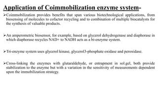 Concept Of Co Immobilization Enzyme PPT