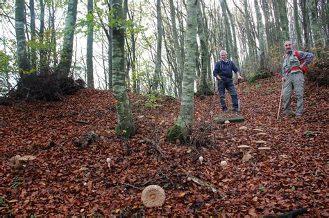 Il Blog Dell Allegra Brigata Del Maggiociondolo Di Marradi Ma Non Mi