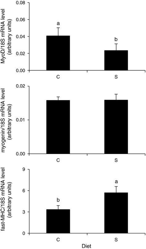 Expression Of Myod Myogenin And Fast Myosin Heavy Chain Mhc In The Download Scientific