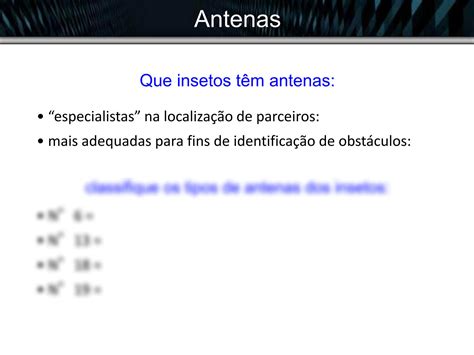 Solution Morfologia Pratica Studypool