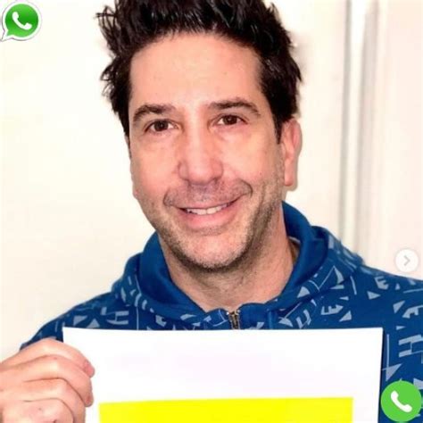 David Schwimmer Phone Number - Email, Address, Contact