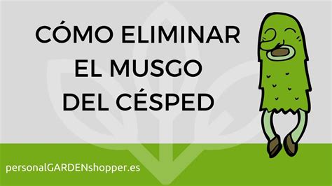 Cómo Eliminar el Musgo del Cesped Guía Paso a Paso