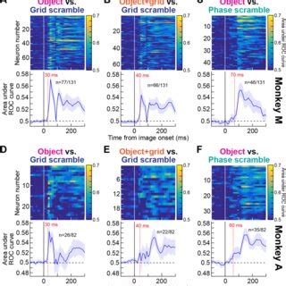 Early And Late Detection Of Visual Objects By Sc Neurons A For Each