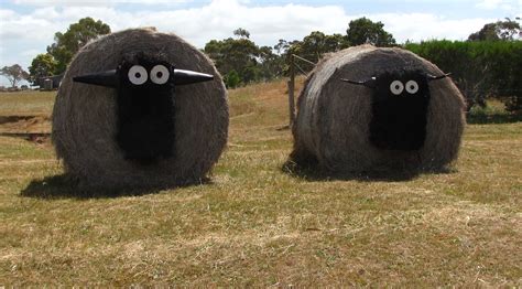 Hay Bale Decorating Contest Spotlights Community Creativity